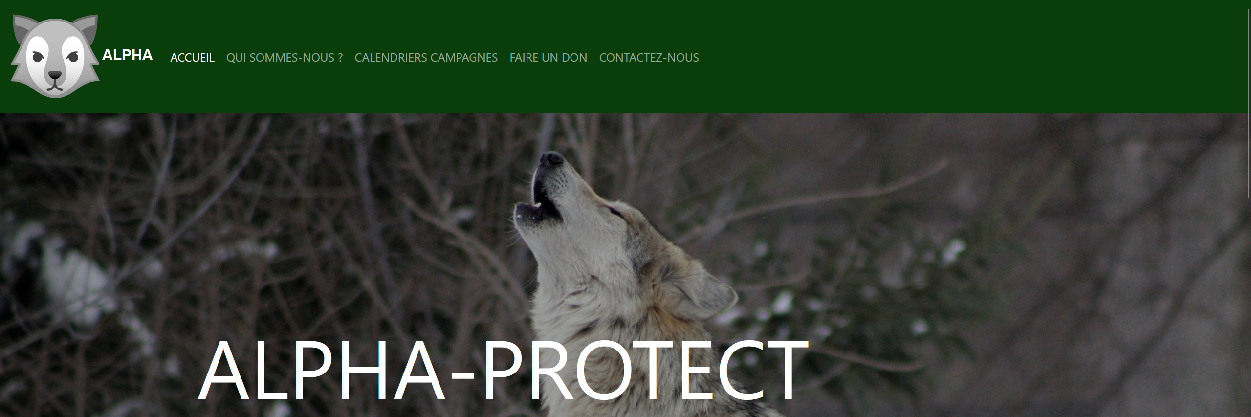Alpha-Protect